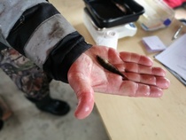 Pieniä on onkikalat...