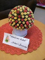 kaunista paperinarusta, Inkeri Suorsa