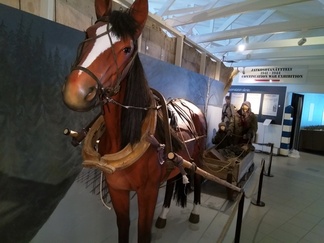 kiireellä evakkoon sodan jaloista