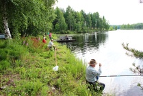 Ranta onginta maisemaa