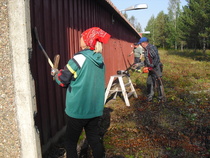 rapsutetaan irtoavat maalit pois