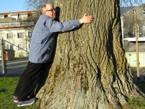 Pärnu on kuuluisa puistoistaan ja suurista puistaan