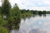 Utjärven rantaa